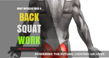 Back Squat Benefits: Targeted Muscles and Full-Body Strength Training