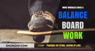Balance Board Benefits: Targeted Muscles for Stability and Core Strength