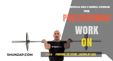Barbell Overhead Push Press: Target Muscles and Primary Benefits