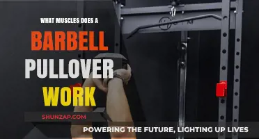 Barbell Pullover Muscles: Targeted Chest, Back, and Core Workout Explained