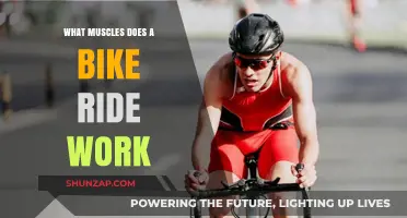 Pedal Power: Discover the Muscles Engaged During a Bike Ride