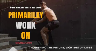 Box Jumps: Targeting Lower Body Muscles for Explosive Power