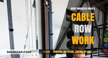 Cable Row Muscles: Targeted Back, Arm, and Core Strength Training
