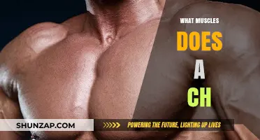 Chopping Wood: The Ultimate Full-Body Workout