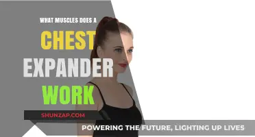 Chest Expander Muscles: Targeted Workout Benefits and Techniques Explained