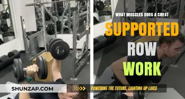 Chest Supported Row: Target Muscles and Benefits Explained