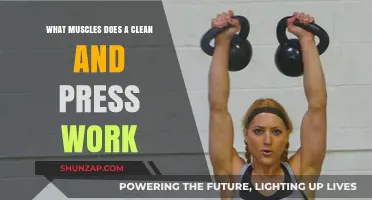 Clean and Press: Targeted Muscles and Full-Body Benefits Explained