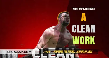 Clean Exercise: Unlocking Full-Body Strength and Muscle Engagement
