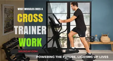 Cross Trainer Benefits: Targeted Muscles for Full-Body Workouts Explained
