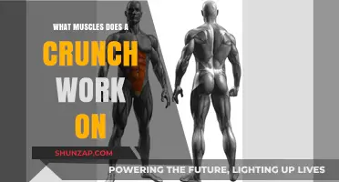Crunches Unveiled: Target Muscles and Core Strengthening Benefits Explained