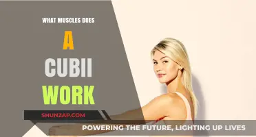 Cubii Workout Benefits: Targeted Muscles and Toning Explained