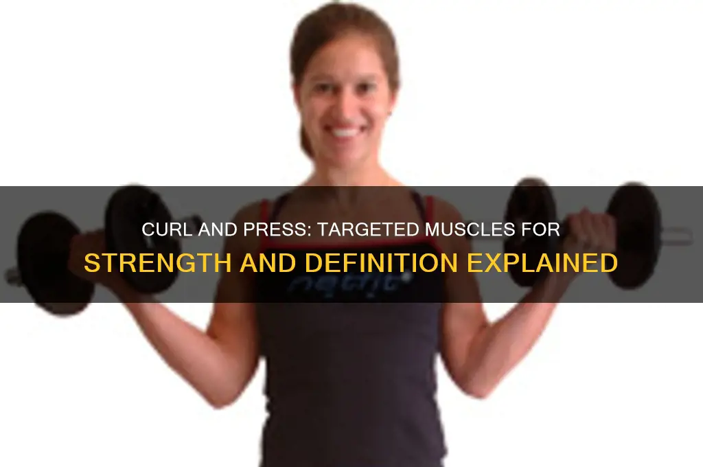 what muscles does a curl and press work