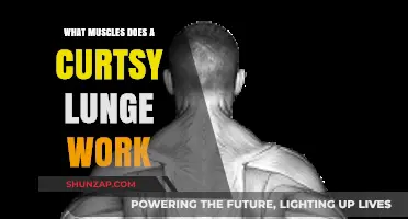 Curtsy Lunge Benefits: Targeted Muscles and Lower Body Strengthening Explained