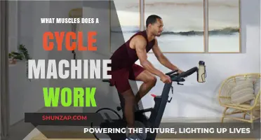 Cycle Machine Muscles: Targeted Workout Benefits and Key Muscle Groups