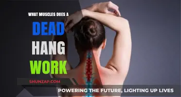 Dead Hang Benefits: Targeted Muscles and Strength Training Explained