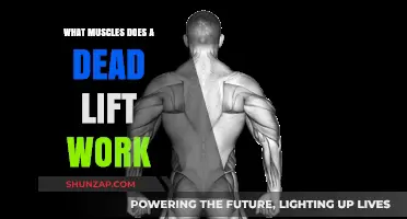 Deadlift Muscles: Unlocking Full-Body Strength and Core Power