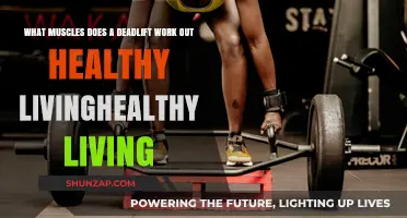 Deadlift Benefits: Target Muscles for Strength and Healthy Living