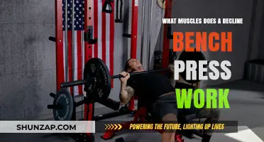 Decline Bench Press: Targeted Muscles and Benefits Explained