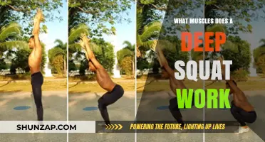 Deep Squats: Targeted Muscles and Full-Body Benefits Explained