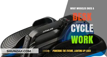Desk Cycle Benefits: Targeted Muscles for Lower Body Strength and Tone