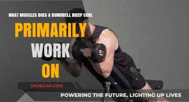 Dumbbell Bicep Curl: Target Muscles and Workout Benefits Explained