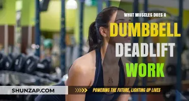 Dumbbell Deadlift Muscles: Targeted Strength Training Benefits Explained
