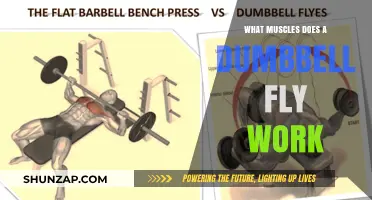 Dumbbell Fly Muscles: Targeting Chest, Shoulders, and Upper Body Strength
