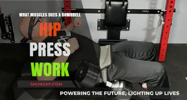 Dumbbell Hip Press: Targeted Muscles and Benefits Explained