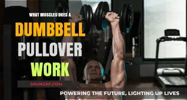 Dumbbell Pullover Muscles: Targeting Chest, Back, and Core Strength