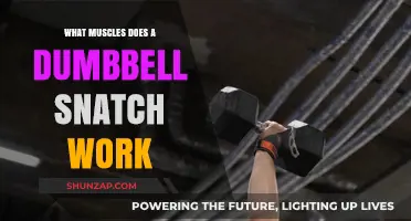 Dumbbell Snatch Muscles: A Full-Body Workout Breakdown