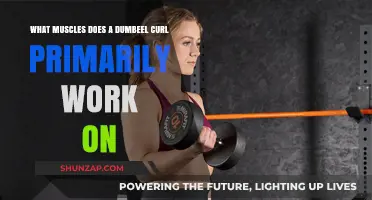 Dumbbell Curl Muscles: Targeting Biceps, Forearms, and Brachialis Effectively