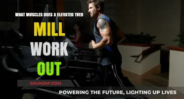 Elevated Treadmill Workout: Targeting Muscles for Enhanced Fitness Gains