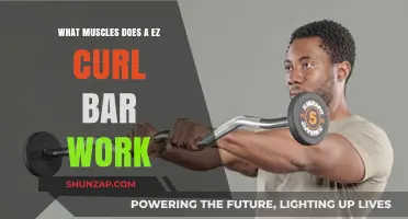 EZ Curl Bar Muscles: Targeted Arm and Shoulder Workout Explained