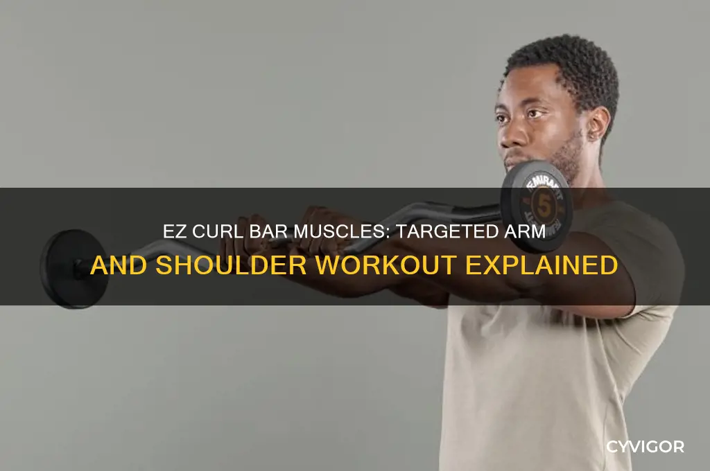 what muscles does a ez curl bar work