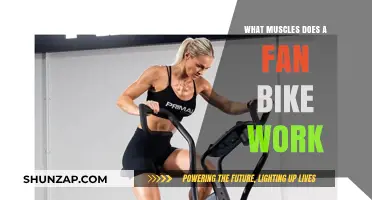 Fan Bike Workout: Targeted Muscles and Full-Body Benefits Explained