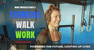 Farmers Walk Benefits: Targeted Muscles and Full-Body Strength Training