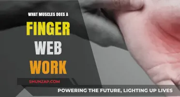 Finger Web Workout: Targeted Muscles and Strengthening Benefits Explained