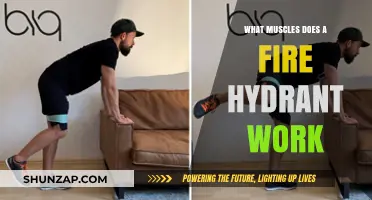 Fire Hydrant Exercise: Targeted Muscles and Benefits Explained