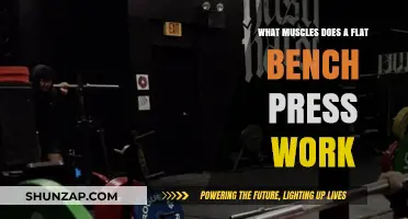Flat Bench Press Muscles: Chest, Shoulders, Triceps, and Core Engagement