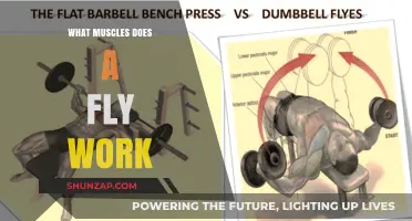Unveiling the Surprising Muscles Engaged During a Dumbbell Fly Exercise