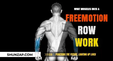 Freemotion Row Muscles: Targeted Back, Arm, and Core Workout Explained
