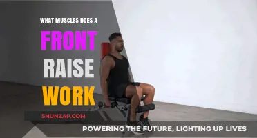 Front Raise Muscles: Targeted Shoulders, Arms, and Upper Body Workout