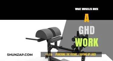 GHD Machine Muscles Worked: Targeted Glutes, Hamstrings, and Core Activation