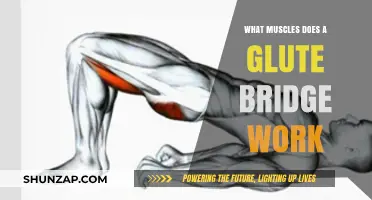 Glute Bridge Benefits: Targeted Muscles and Strength Training Explained