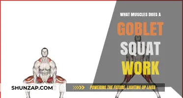 Goblet Squat Muscles: Targeted Lower Body Strength Training Explained