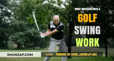 Muscles in Motion: Unveiling the Golf Swing's Physical Demands
