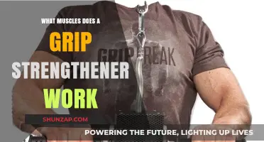 Grip Strengtheners: Targeted Muscles for Enhanced Hand and Forearm Power