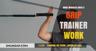 Grip Trainer Muscles: Strengthening Forearms, Hands, and Finger Flexors