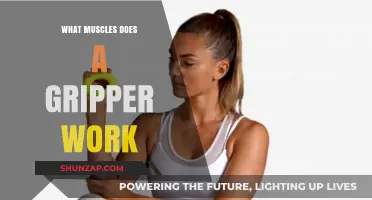 Gripper Workout Benefits: Targeted Muscles for Stronger Hands and Forearms