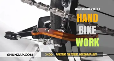 Hand Bike Benefits: Targeted Muscles for Upper Body Strength and Endurance
